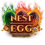 nest egg